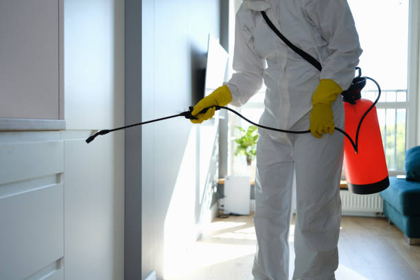 Why You Should Choose Our Mold Remediation Services in Adamstown, MD